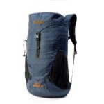 Blue-S40