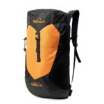 Orange-S40